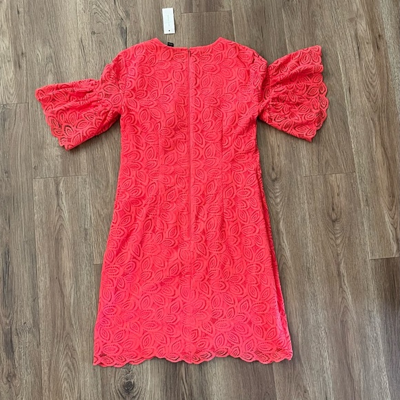 ANN TAYLOR Coral Pink Lace Ruffle Bell Sleeve Dres - Picture 12 of 14